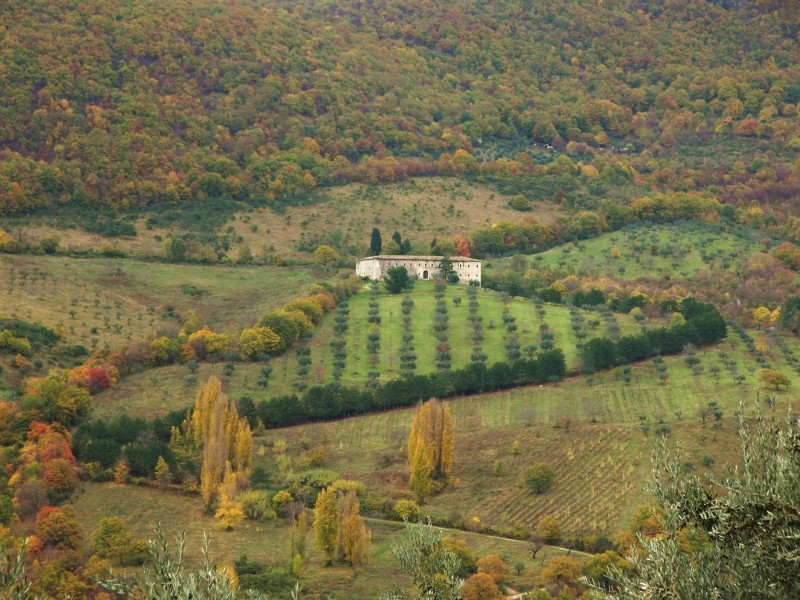 Sabina sublime-Dettagli d''autunno